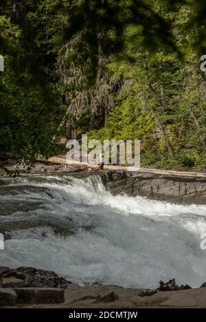 Man sitzt auf Fallen Log über McDonald Creek in Montana's Glacier National Park Stockfoto