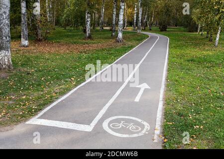 Leerer asphaltierter Radweg mit Symbol und Pfeil in Ein öffentlicher Stadtpark verwandelt sich in einen Wald Stockfoto
