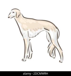 Niedlichen Hund Saluki Rasse Stammbaum Vektor Illustration Stock Vektor