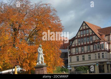 Albrecht-Thaer-Denkmal mit Buche im Herbst, Celle Stockfoto