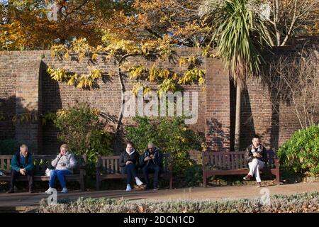 UK Weather, London, 22 November 2020: An einem sonnigen Sonntag in London strömen Menschen in den Holland Park, wo Menschen auf Bänken sitzen und die Sonne genießen.nur wenige Menschen trugen Gesichtsmasken, aber die meisten machten einen Versuch der sozialen Distanzierung. Für morgen (Montag) sind Ankündigungen über ein neues Tier-System von Covid-Restriktionen geplant, das nach Abschluss der aktuellen Sperre am 2. Dezember eingeführt werden soll. Anna Watson/Alamy Live News Stockfoto