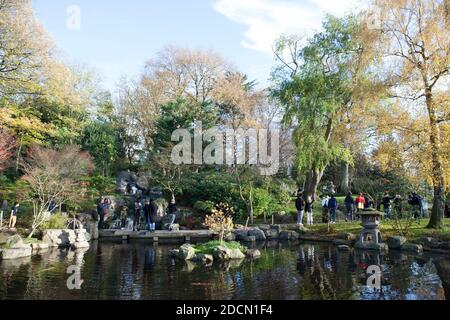 UK Weather, London, 22 November 2020: An einem sonnigen Sonntag in London strömen Menschen in den Holland Park, wo sich Schlangen im Kyoto Garden bildeten und Besucher Eichhörnchen und Pfauen fotografierten.nur wenige Menschen trugen Gesichtsmasken, aber die meisten versuchten, sich sozial zu distanzieren. Für morgen (Montag) sind Ankündigungen über ein neues Tier-System von Covid-Restriktionen geplant, das nach Abschluss der aktuellen Sperre am 2. Dezember eingeführt werden soll. Anna Watson/Alamy Live News Stockfoto