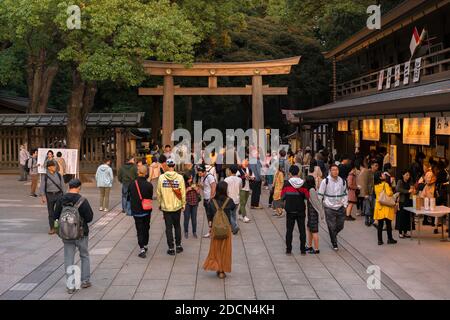 shibuya, japan - november 02 2019: Touristenschar vor dem hölzernen Higashi-Tamagaki-Torii-Tor, das mit goldenem im geschmückt ist Stockfoto