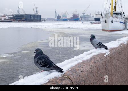 Sank-Petersburg, Russland. Februar 08, 2020. Blick auf das Ausbildungsschiff für junge Menschen, Werft, Industriegebiet über den Gewässern der Neva. Stockfoto