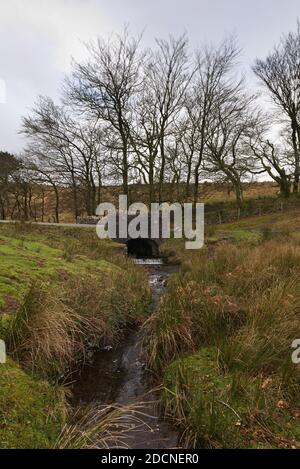 Eine Winteransicht der alten Brücke über Chetsford Wasser bei Aldermans Barrow im Exmoor National Park in Somerset, England, Großbritannien Stockfoto