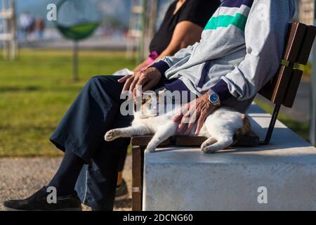 Alter Mann, der eine Katze liebt, die auf der lebt Straße im Park in der Türkei Stockfoto