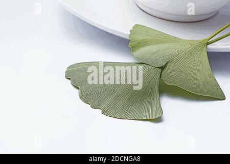 Ginkgo Biloba Blätter isolierten auf weißen Hintergrund Stockfoto