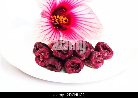 Roselle auf weißem Hintergrund Stockfoto