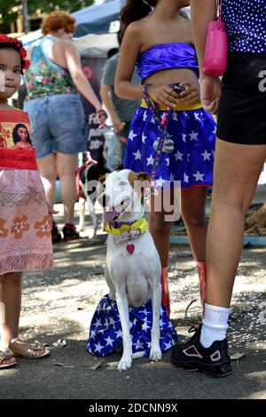 Brasilien, Rio de Janeiro, 15. Februar 2020: Partytag für Haustiere. Hundebesitzer treffen sich, um den Karneval mit ihren geliebten Vierbeiner zu feiern. Stockfoto