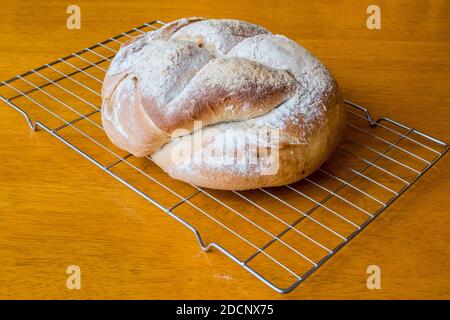 Frisch gebackenes Brot kühlen auf einem Drahtgitter Stockfoto