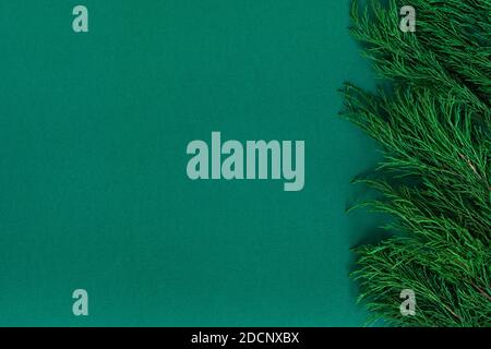 Hintergrund mit grünen Wacholderzweigen Grenze, Hintergrund für umweltfreundliche Produktplatzierung Stockfoto