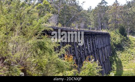 Holzbrücke auf der Orbost-Linie, Australien. Stockfoto