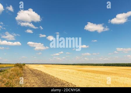 Road Highway in der Nähe geerntet gemäht goldenen Weizenfeld an hellen Sommer oder Herbsttag gegen lebendigen blauen Himmel auf dem Hintergrund. Landwirtschaftliches gelbes Feld Stockfoto