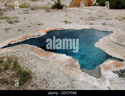 Crystal Clear Blue Star Spring Im Upper Geyser Basin Yellowstone Nationalpark an EINEM sonnigen Sommertag Stockfoto