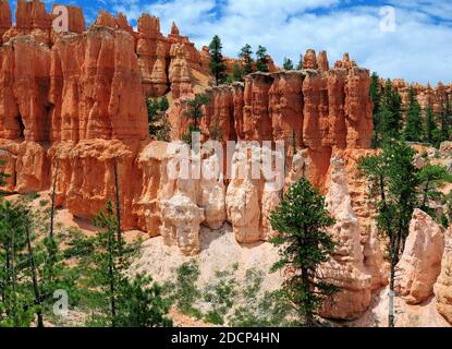 Blick Auf Die Rocky Hoodoos Auf Dem Pekaboo Loop Trail Im Bryce Canyon National Park an EINEM sonnigen Sommertag Mit EINEM klaren blauen Himmel und EIN paar Wolken Stockfoto