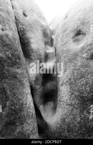 Nahaufnahme der Felsenfelsen des Elefantensandsteins, Sloni kameny, in der Nähe von Jitrava im Lausitzer Gebirge, Tschechische Republik. Schwarzweiß-Bild. Stockfoto