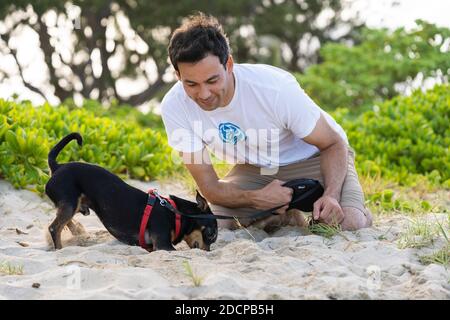 Kleiner schwarzer Hund gräbt sich im Sand am Strand Mit Besitzer beobachten Stockfoto