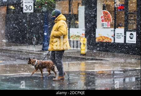 Toronto, Kanada. November 2020. Ein Mann mit Gesichtsmaske geht am 22. November 2020 mit seinem Hund auf einer Straße in Toronto, Kanada. Laut CTV meldete Kanada am Sonntagabend insgesamt 330,503 Fälle und 11,455 Todesfälle. Quelle: Zou Zheng/Xinhua/Alamy Live News Stockfoto