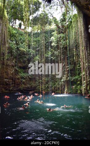 Cenote Ik Kil in der Nähe von Chichen Itza auf der Halbinsel Yucatan, Mexiko. Weinstöcke hängen von der Öffnung oben herab, während die Besucher im blaugrünen Wasser schwimmen. Stockfoto