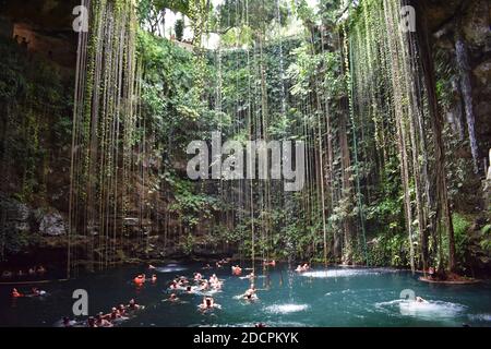Cenote Ik Kil in der Nähe von Chichen Itza auf der Halbinsel Yucatan, Mexiko. Die Wände sind mit grünen Pflanzen bedeckt und Weinstöcke hängen von der Öffnung oben herab. Stockfoto