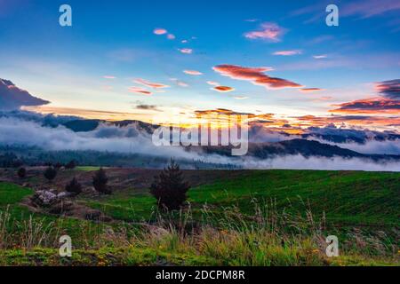 El Chimborazo Berg, Ecuador Stockfoto