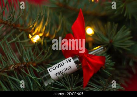 Eine Ampulle des COVID-19 Coronavirus-Impfstoffs liegt als Geschenk auf den Zweigen eines Weihnachtsbaums mit Lichtern Auf einem roten Hintergrund Stockfoto