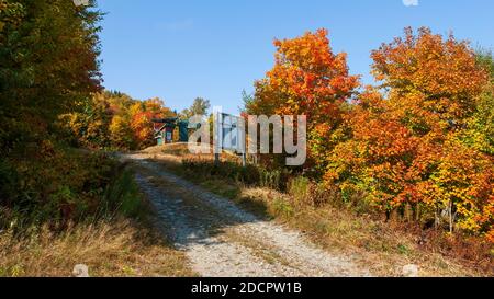 Bergstraße durch einen Mischwald in feurigen Herbstfarben. Oberes Terminal eines Sessellifts und Weginformationsschild. Mt. Mansfield, Stowe, Vermont, USA Stockfoto