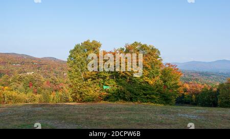 Skipiste am Fuße des Mt. Mansfield. Laubwald wechselt im Herbst die Farben. Ahorn, Buche, Birke und Hemlockbäume. Skigebiet in Stowe, VT. Stockfoto