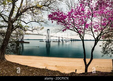 Río Paraná, Corrientes, Argentinien Stockfoto