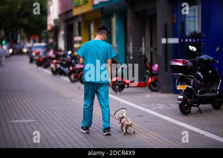 Huzhou, China, 2020. September 28: Tierarzt geht mit Hund in der Nähe der Tierklinik. Tierpflegekonzept. Veterinärdienste Stockfoto