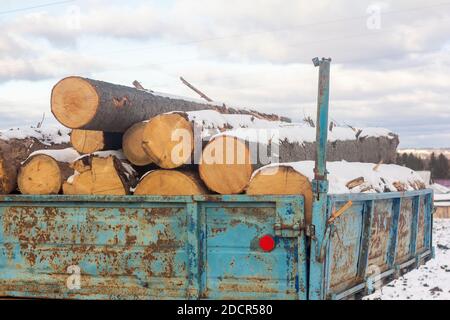 Holzscheite unter dem Schnee in einem alten Wagen für den Transport.Vorbereitung des Brennholzes für die Heizung im Winter. Stockfoto
