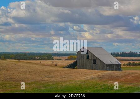 Leere alte Scheune auf Farmland in Ost-Washington Stockfoto