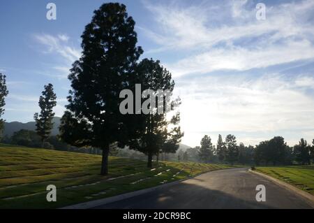 Los Angeles, Kalifornien, USA 17. November 2020 EIN allgemeiner Blick auf die Atmosphäre des Grabes der Schauspielerin Eleanor Audley auf dem Mount Sinai Cemetery Hollywood Hills am 17. November 2020 in Los Angeles, Kalifornien, USA. Foto von Barry King/Alamy Stockfoto Stockfoto