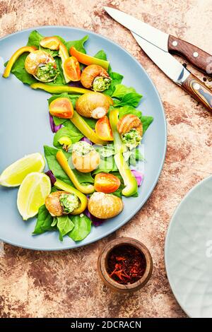 Salat mit Schnecken, Spinat, Tomate und Pfeffer.gesunder Gemüsesalat Stockfoto