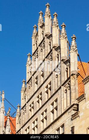 Deutschland; Münster, Stadt des Westfälischen Friedens; Nordrhein-Westfalen; Deutschland; Prinzipalmarkt, Stockfoto