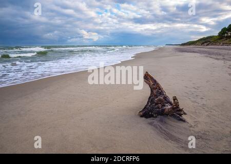 Ostseeküste mit Holzstumpf und bewölktem Himmel. Stockfoto