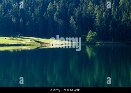 Die Morgensonne erhellt eine grüne Weide zwischen dichtem Wald und St. Moritzersee, die Landschaft spiegelt sich im Wasser. Stockfoto