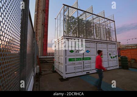 GROSSBRITANNIEN /London / Urban Farm Box aus einem Transportcontainer auf dem Dach von London. Stockfoto