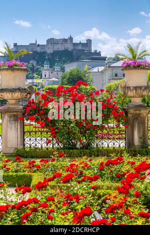 Blick auf die Festung Hohensalzburg vom Mirabellgarten, Weltkulturerbe der UNESCO, Salzburg, Österreich, Europa Stockfoto