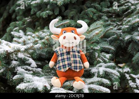 Ein lustiges Spielzeug orange Bull sitzt auf einem schneebedeckten Weihnachtsbaum im Park. Symbol des neuen Jahres 2021, schöner Bulle mit großen weißen Hörnern im Winter. Stockfoto