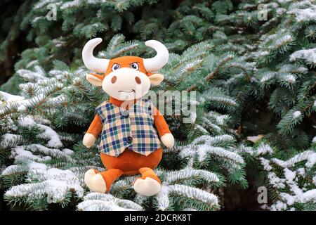 Ein lustiges Spielzeug orange Bull sitzt auf einem schneebedeckten Weihnachtsbaum im Park. Symbol des neuen Jahres 2021, schöner Bulle im Winter. Stockfoto