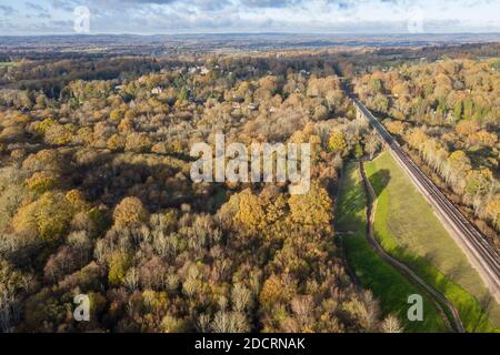 Drohnen Luftaufnahmen Hampshire Forest, zeigt die Höhe der Aufforstung Stockfoto