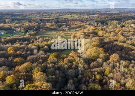 Drohnen Luftaufnahmen Hampshire Forest, zeigt die Höhe der Aufforstung Stockfoto