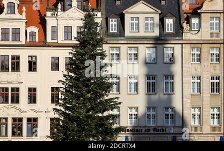 Leipzig, Deutschland. November 2020. Der geschmückte Weihnachtsbaum steht auf dem Leipziger Marktplatz. Eigentlich würde der Leipziger Weihnachtsmarkt in diesen Tagen beginnen. Aufgrund der Corona-Schutzverordnung können Weihnachtsmärkte in Sachsen jedoch nicht stattfinden. Dennoch sollten der beleuchtete Weihnachtsbaum und die Weihnachtsdekoration eine weihnachtliche Atmosphäre in der Innenstadt schaffen. Quelle: Jan Woitas/dpa-Zentralbild/dpa/Alamy Live News Stockfoto