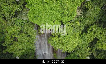 Luftaufnahme von Wald und Fluss in Richtung Labuhan Kebo Wasserfall in Munduk, Bali Stockfoto