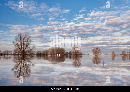 Überschwemmtes Farmfeld vor dem niederländischen Fluss IJssel In der Provinz Gelderland Stockfoto