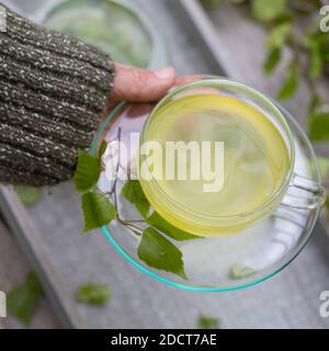 Birkentee, Birkenblatt-Tee, Birkenblätter-Tee, Birken-Tee, Birkenblatttee, Birkenblättertee, Heiltee, Kräutertee, Kräuter-Tee, Tee aus Birkenblättern, Stockfoto