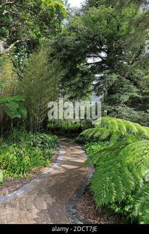 Stellenbosch University Botanical Garden , Cape Winelands, Western Province, Südafrika. Stockfoto