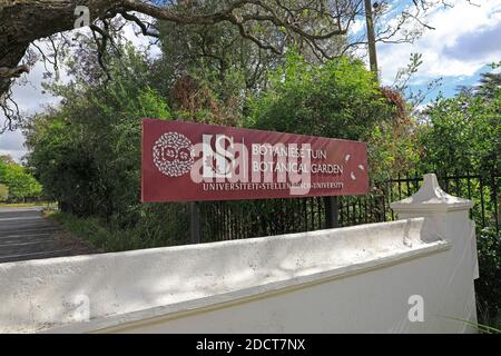 Stellenbosch University Botanical Garden , Cape Winelands, Western Province, Südafrika. Stockfoto