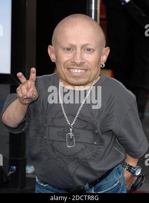 Datei Foto - 'Verne Troyer nimmt an der Premiere von Paramount Pictures ''The Love Guru'' im Chinese Theatre in Hollywood Teil. Los Angeles, CA, USA, am 11. Juni 2008.Verne Troyer, bekannt für seine Mini-Me-Spiele in den Austin Powers-Filmen, ist im Alter von 49 Jahren gestorben. Troyer, der 81cm groß war, spielte auch Griphook im ersten Harry Potter Film. Foto von Lionel Hahn/ABACAPRESS.COM' Stockfoto